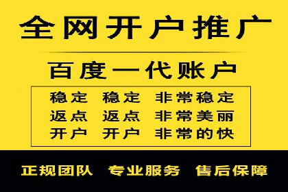 百度竞价运营策略：成功案例解析